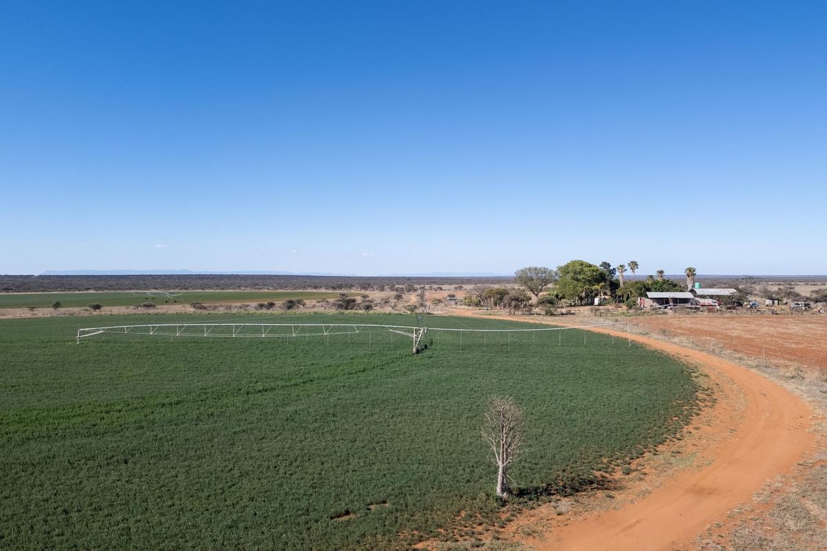 High-Potential Irrigation Farm with Water Rights - Photo 2