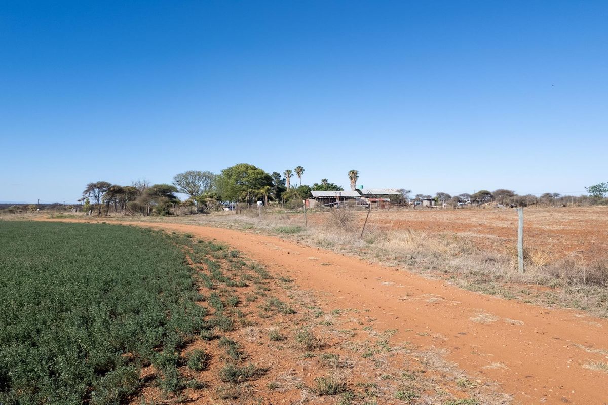 High-Potential Irrigation Farm with Water Rights - Photo 5