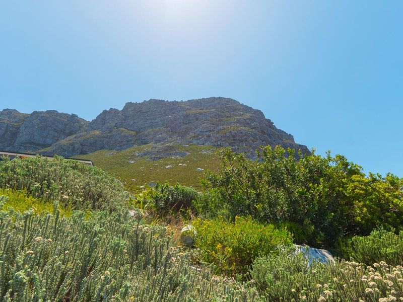 Bettys Bay - Experience coastal living at its finest. - Photo 7