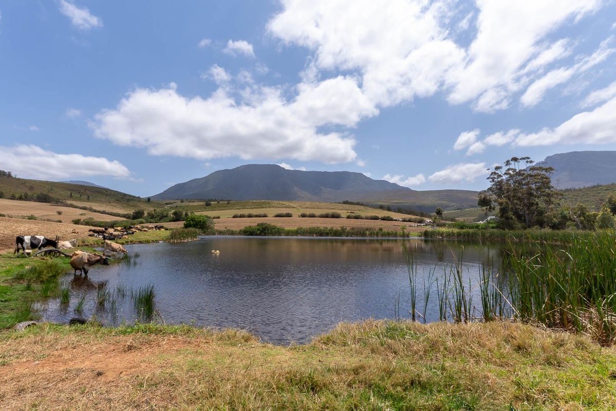 Extraordinary 182 hectares farm - Photo 5