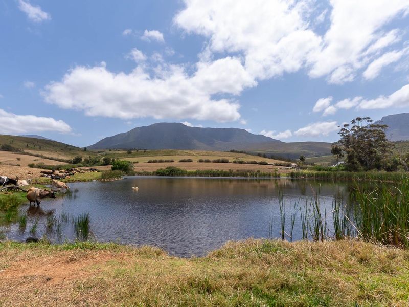 Extraordinary 182 hectares farm - Photo 5