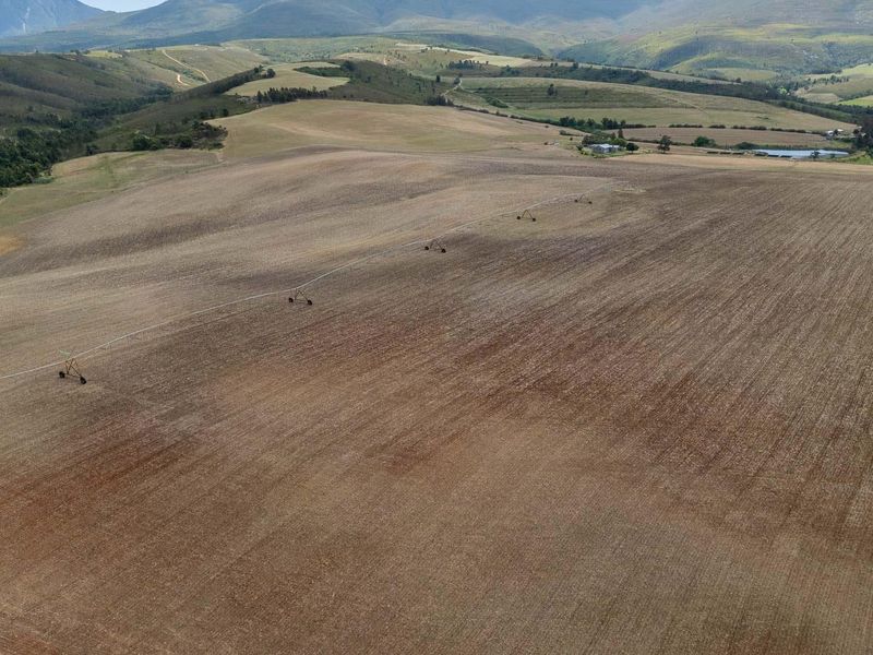 Extraordinary 182 hectares farm - Photo 3