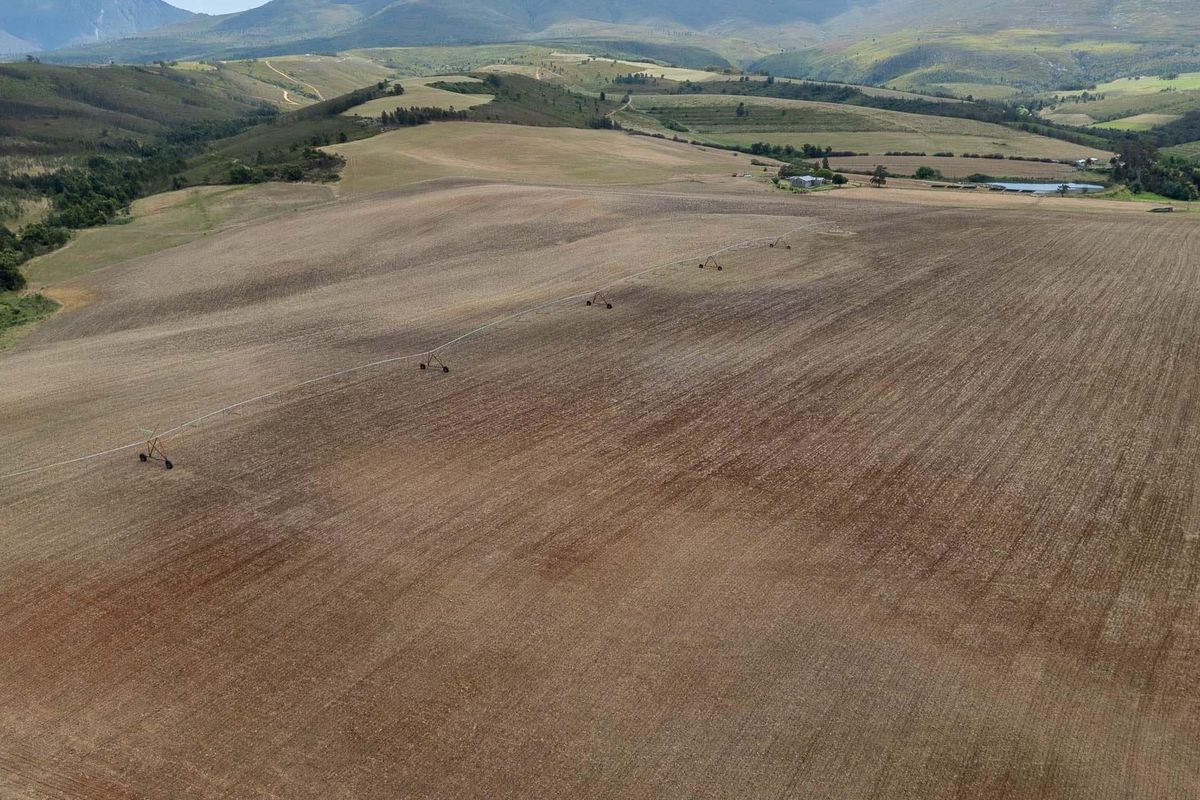 Extraordinary 182 hectares farm - Photo 3