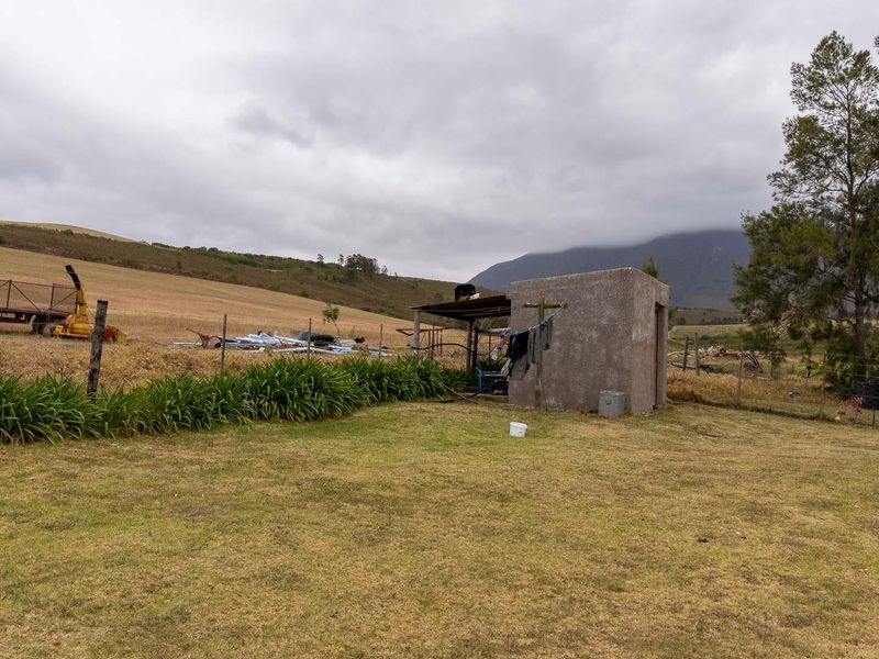 Extraordinary 182 hectares farm - Photo 9