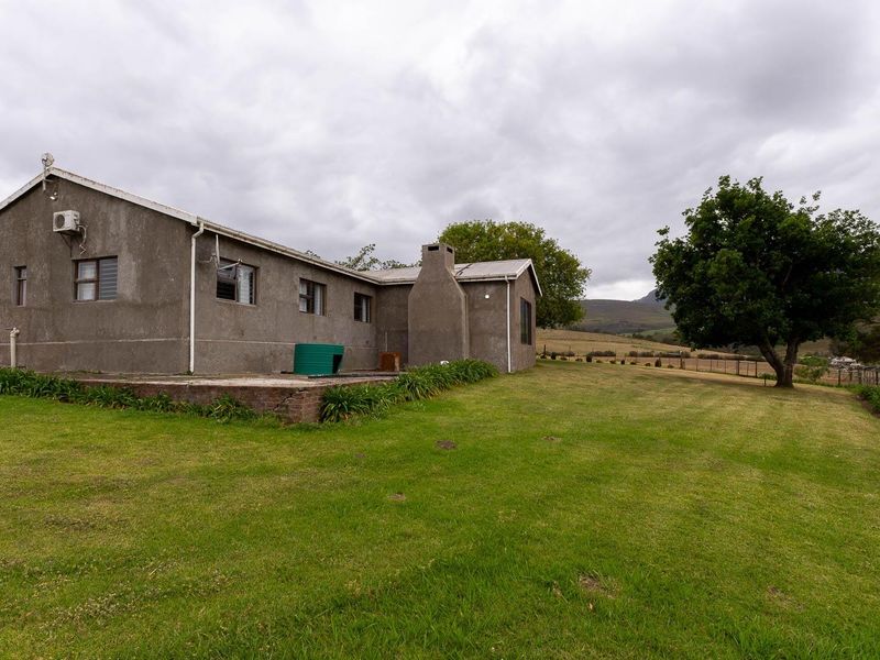 Extraordinary 182 hectares farm - Photo 7