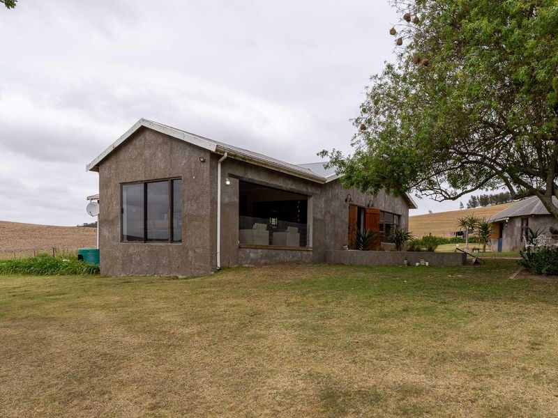 Extraordinary 182 hectares farm - Photo 6