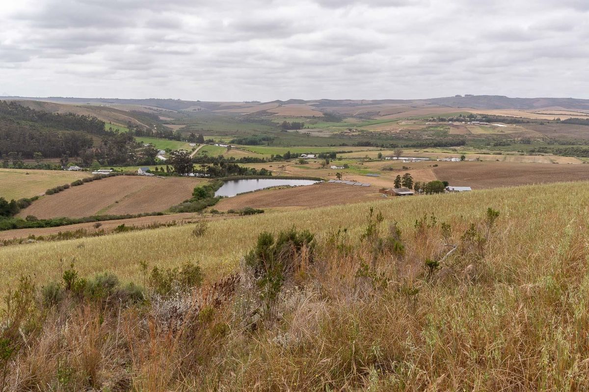 Extraordinary 182 hectares farm - Photo 2