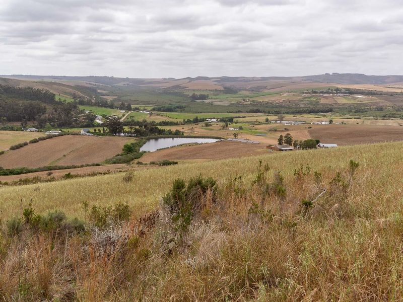 Extraordinary 182 hectares farm - Photo 2