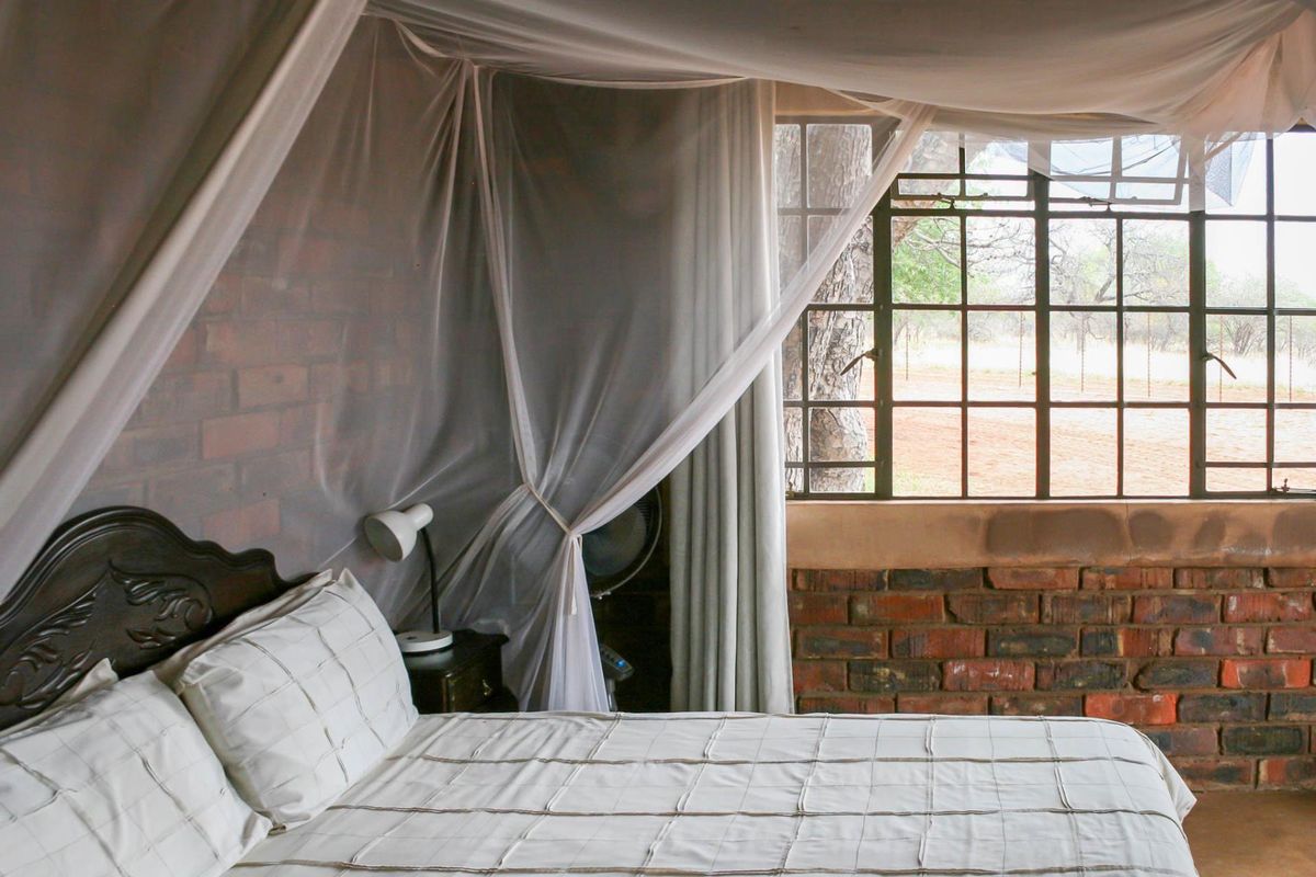 A rustic bedroom featuring exposed brick walls and large metal-framed windows, offering a natural aesthetic with a canopy bed setup.