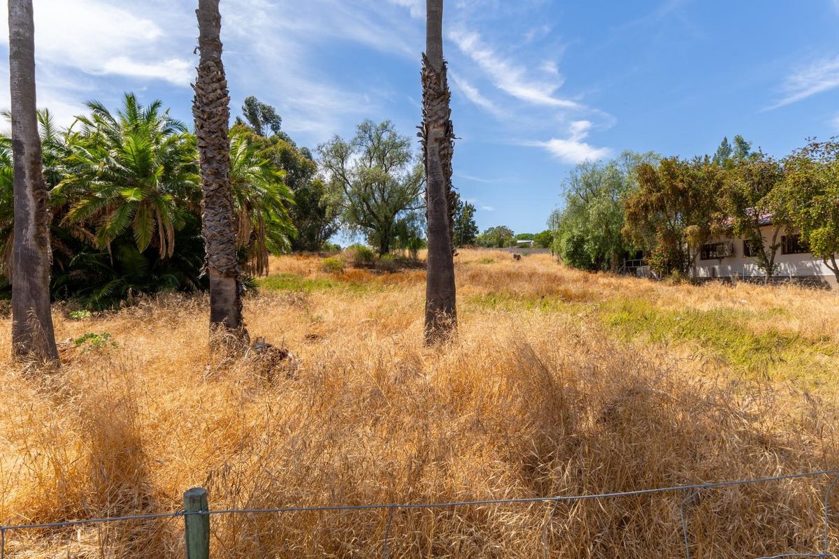 Vacant Land For Sale in Hopefield Western Cape - Photo 3