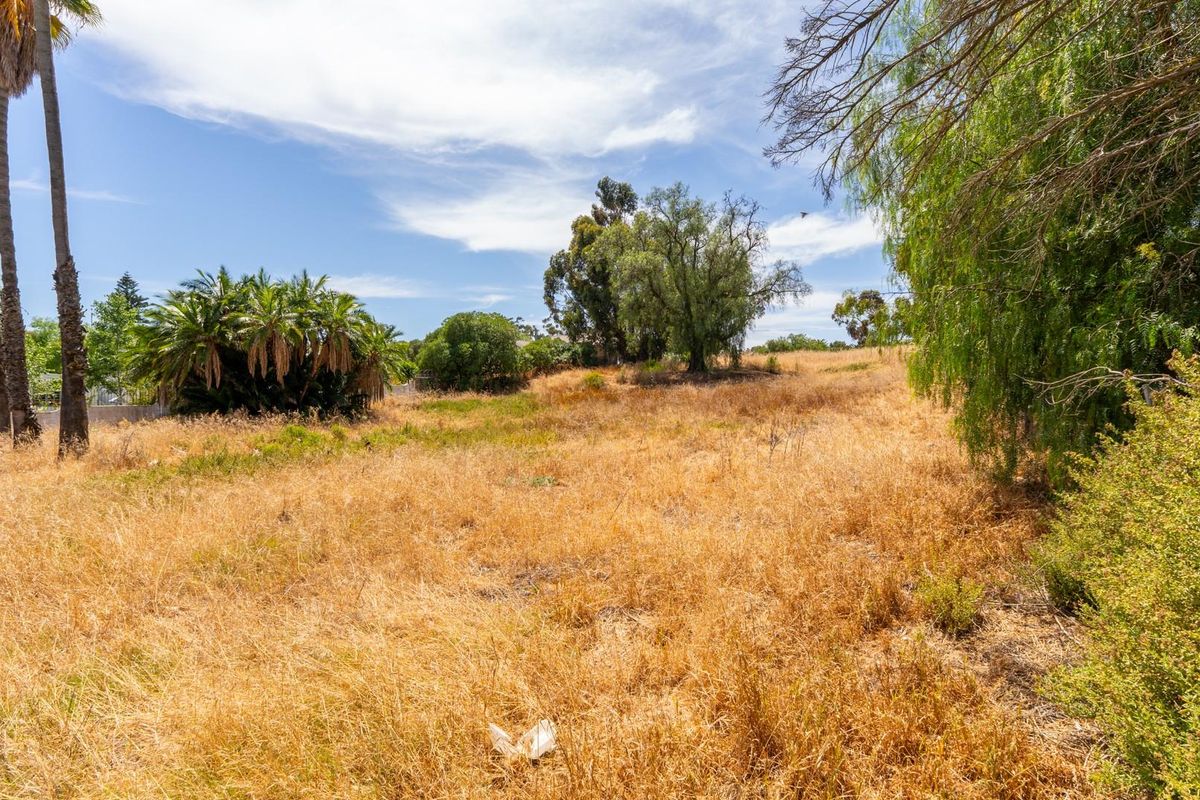Vacant Land For Sale in Hopefield Western Cape - Photo 4