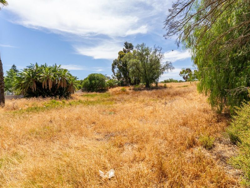 Vacant Land For Sale in Hopefield Western Cape - Photo 4