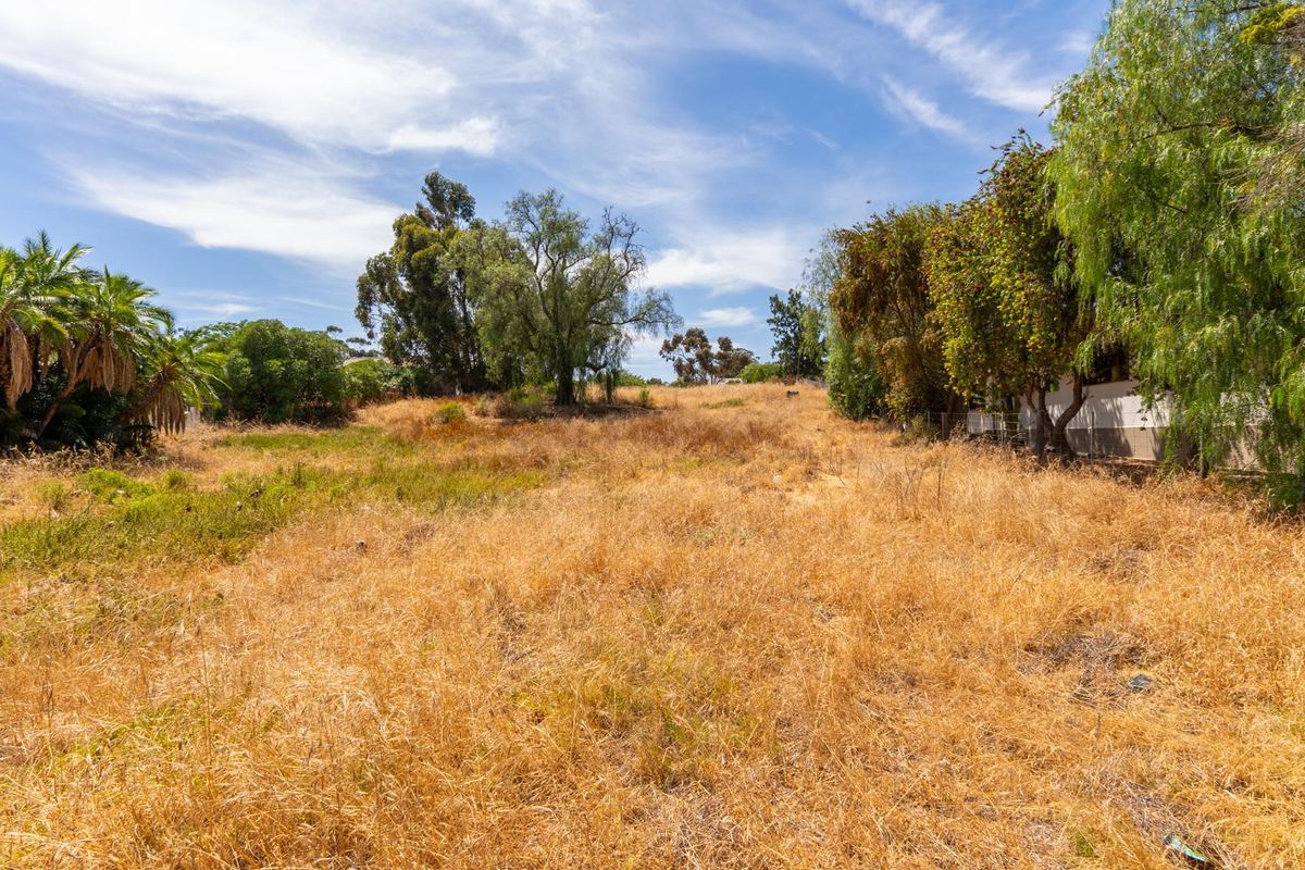 Vacant Land For Sale in Hopefield Western Cape - Photo 5