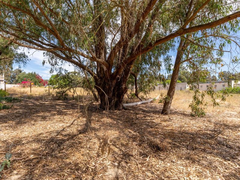 Vacant Land For Sale in Hopefield Western Cape - Photo 9