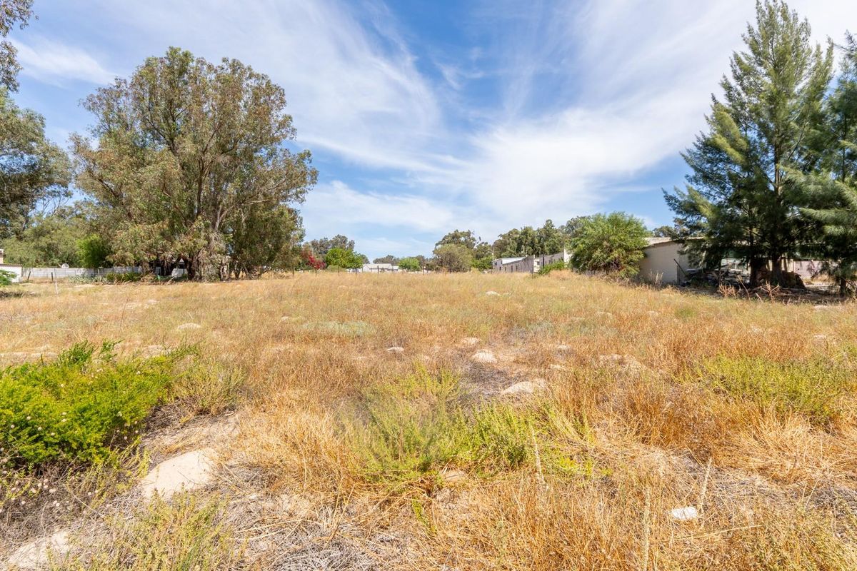 Vacant Land For Sale in Hopefield Western Cape - Photo 4