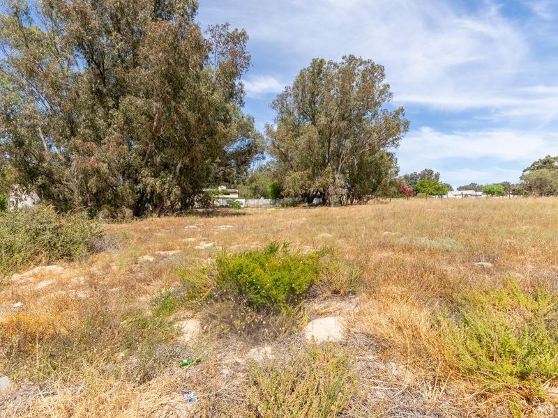 Vacant Land For Sale in Hopefield Western Cape - Photo 3