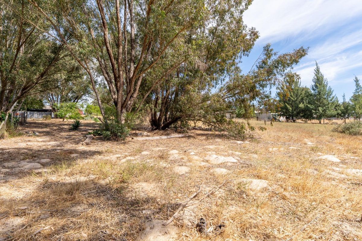 Vacant Land For Sale in Hopefield Western Cape - Photo 2