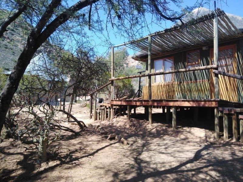 A rustic cabin featuring a raised timber deck, thatched roof, and natural timber construction, set within a natural bushveld landscape.