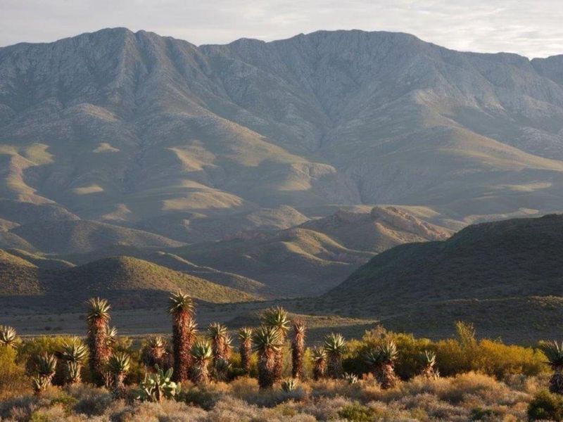 A scenic landscape view showcasing the expansive mountain range and natural vegetation characteristic of the farm property.