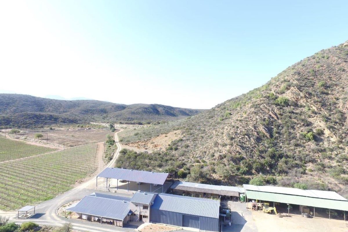 Aerial view of a farm property featuring multiple metal-roofed buildings, open-sided sheds, and an adjacent vineyard set against a mountainous landscape.