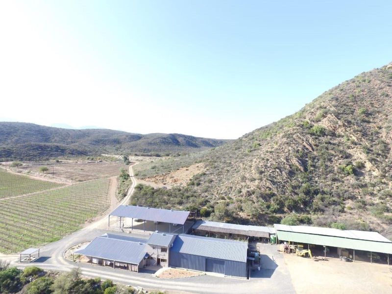 Aerial view of a farm property featuring multiple metal-roofed buildings, open-sided sheds, and an adjacent vineyard set against a mountainous landscape.