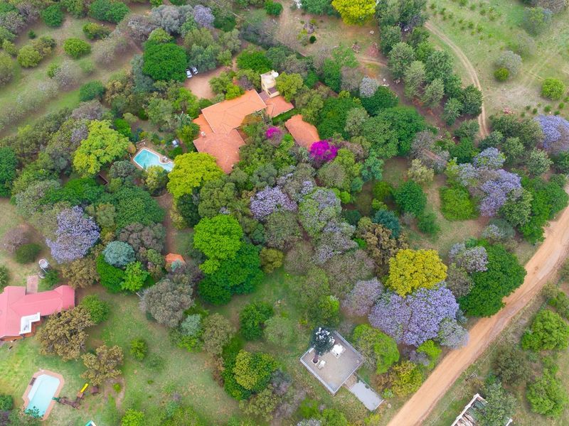 Exceptional 2.2 ha Agricultural Holding with BnB and 3-bedroom Residence plus 2 cottages. - Photo 2