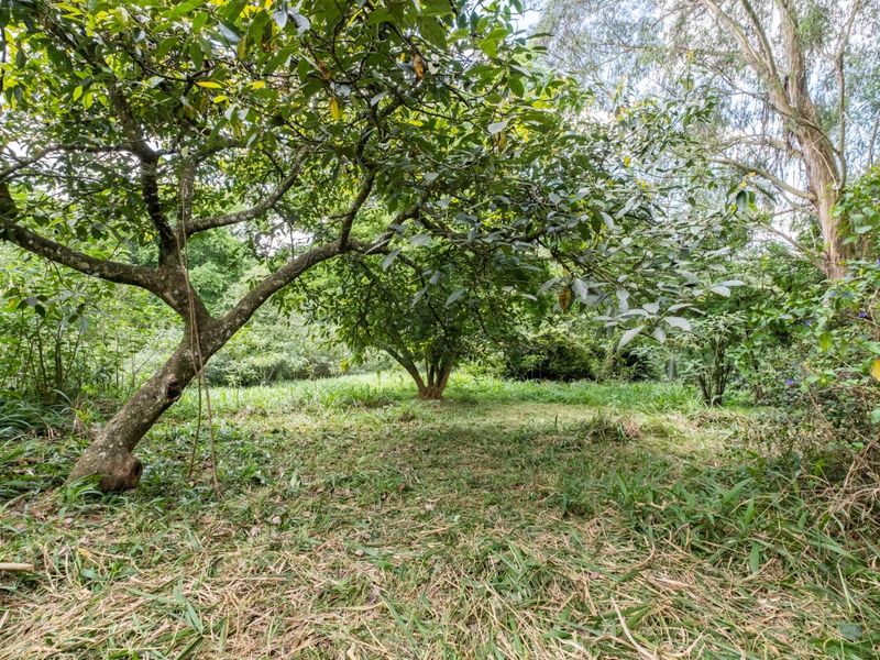 Prime Hilton Land Opportunity - Two Plots, One Exceptional Investment - Photo 10