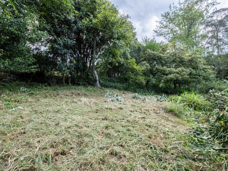 Prime Hilton Land Opportunity - Two Plots, One Exceptional Investment - Photo 9