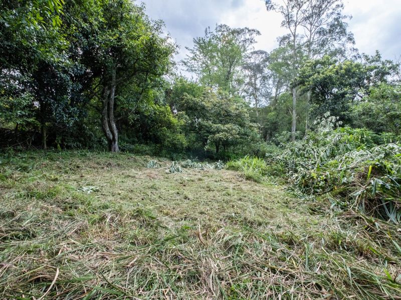 Prime Hilton Land Opportunity - Two Plots, One Exceptional Investment - Photo 8