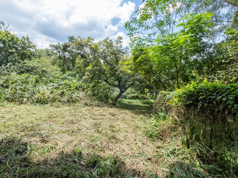 Prime Hilton Land Opportunity - Two Plots, One Exceptional Investment - Photo 7