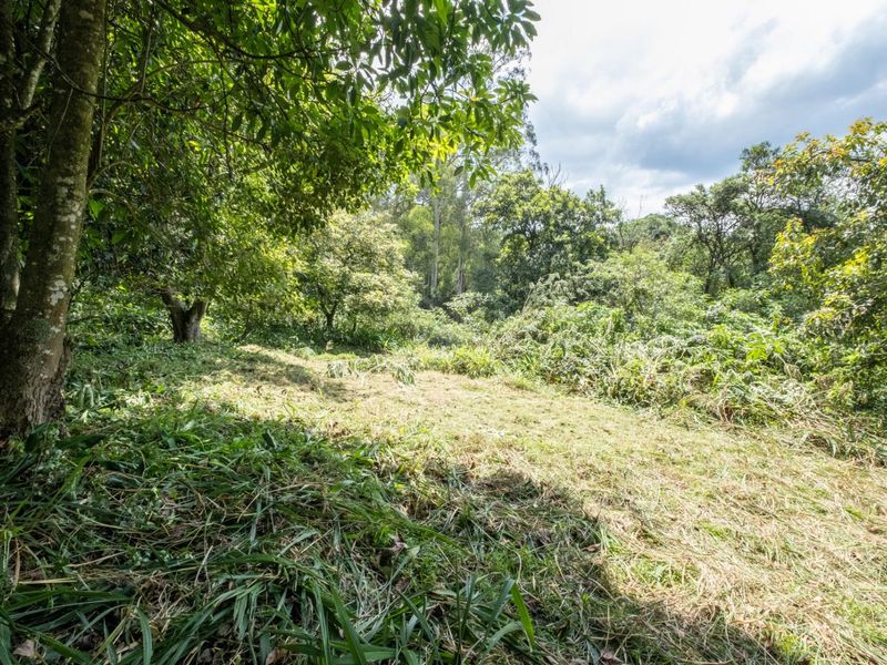 Prime Hilton Land Opportunity - Two Plots, One Exceptional Investment - Photo 6