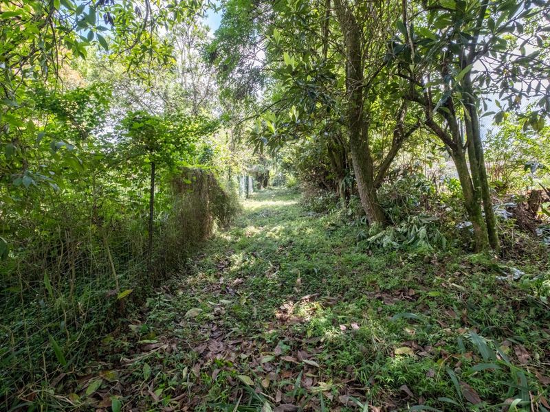 Prime Hilton Land Opportunity - Two Plots, One Exceptional Investment - Photo 3