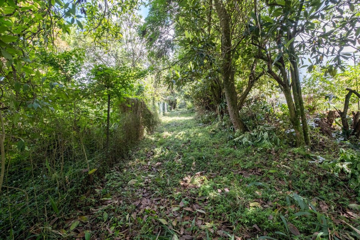 Prime Hilton Land Opportunity - Two Plots, One Exceptional Investment - Photo 3