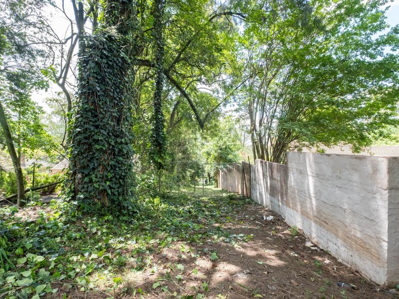 Prime Hilton Land Opportunity - Two Plots, One Exceptional Investment - Photo 2