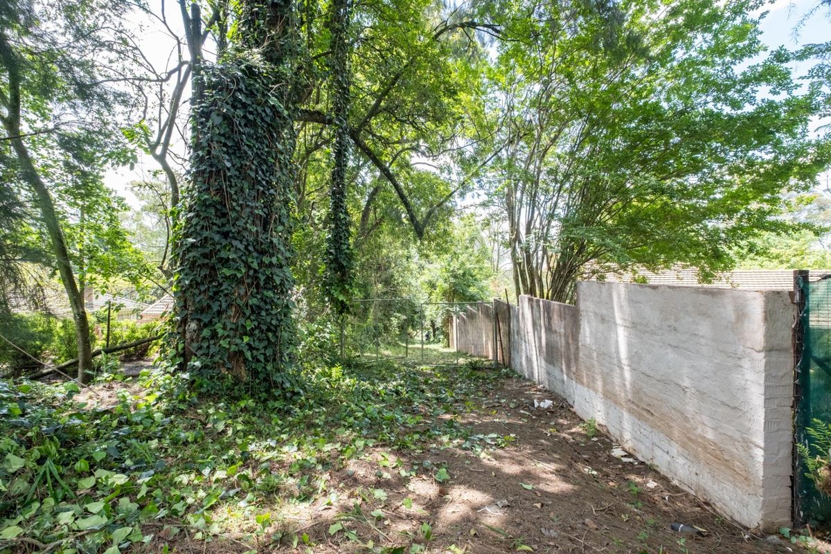 Prime Hilton Land Opportunity - Two Plots, One Exceptional Investment - Photo 2