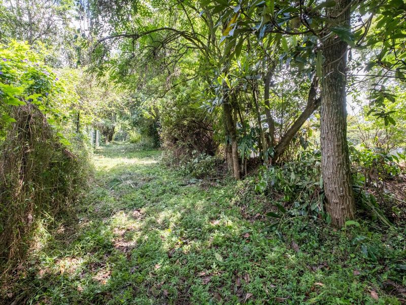 Prime Hilton Land Opportunity - Two Plots, One Exceptional Investment - Photo 4