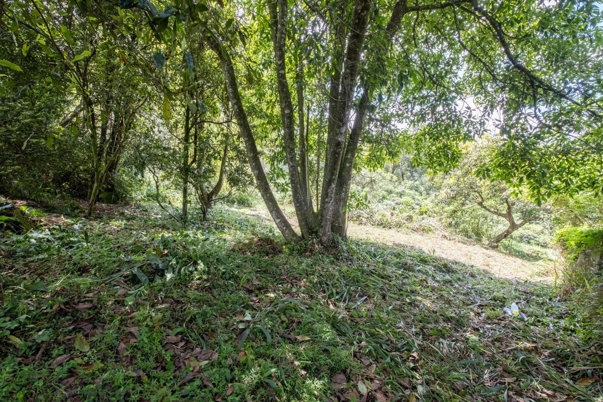 Prime Hilton Land Opportunity - Two Plots, One Exceptional Investment - Photo 5