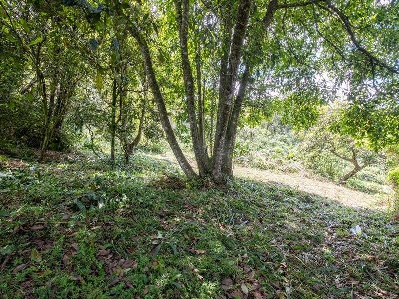 Prime Hilton Land Opportunity - Two Plots, One Exceptional Investment - Photo 5