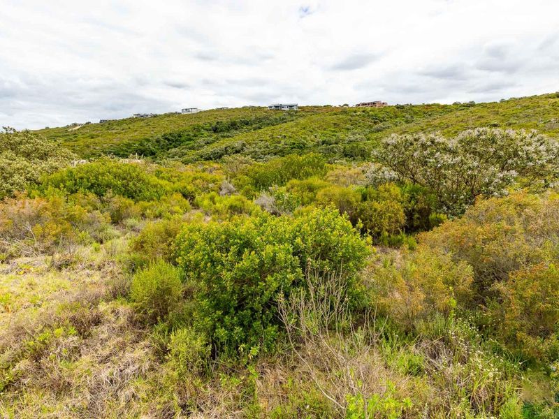 Awe-inspiring scenery - Photo 9