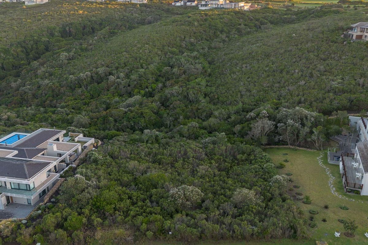 An aerial view of a vacant residential plot surrounded by established indigenous vegetation and neighboring luxury properties.