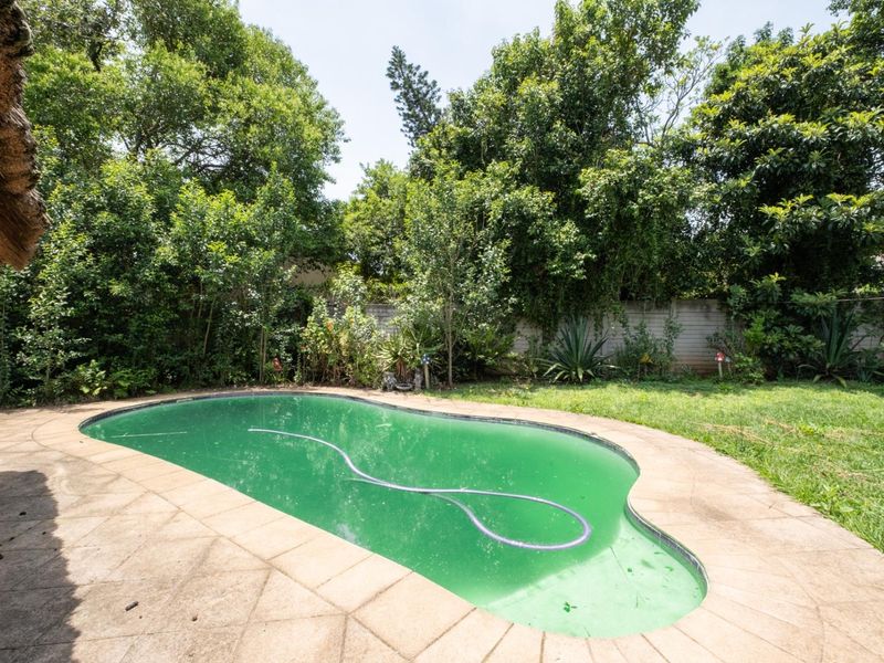 A Spacious Family Home with additional Flat, Full of Potential in Merrivale - Photo 8