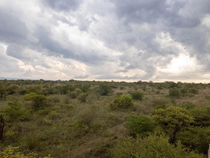 Create Your Ideal Small Farm in Kalkfontein - Photo 2