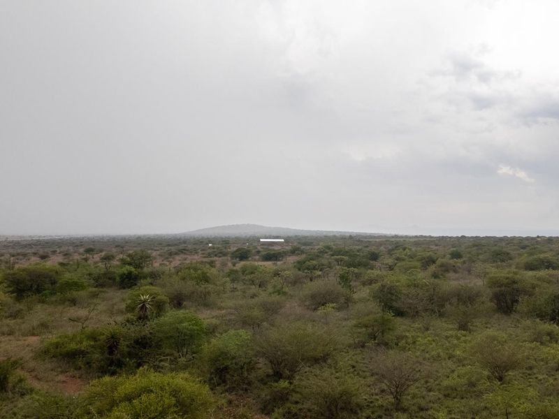 Create Your Ideal Small Farm in Kalkfontein - Photo 3