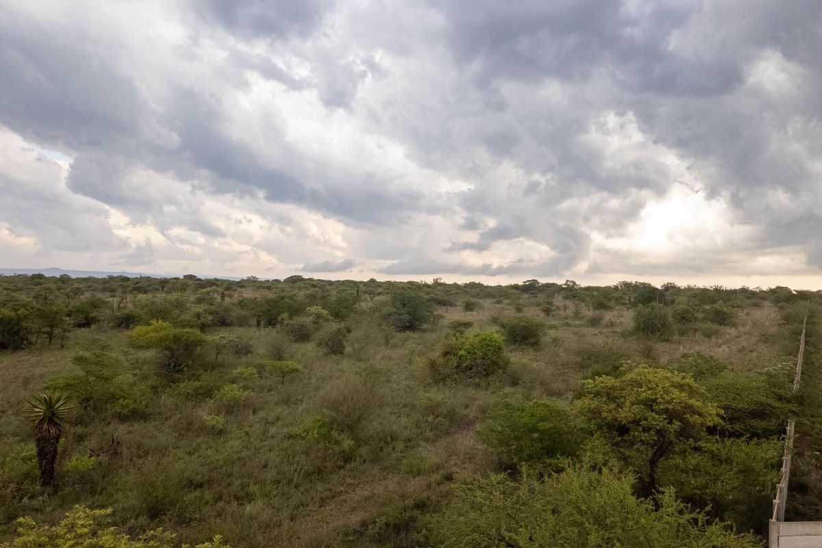 Create Your Ideal Small Farm in Kalkfontein - Photo 2