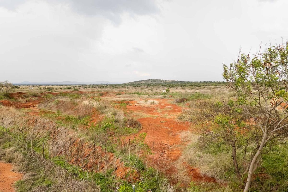 Your Future Farm Begins Here - Photo 2