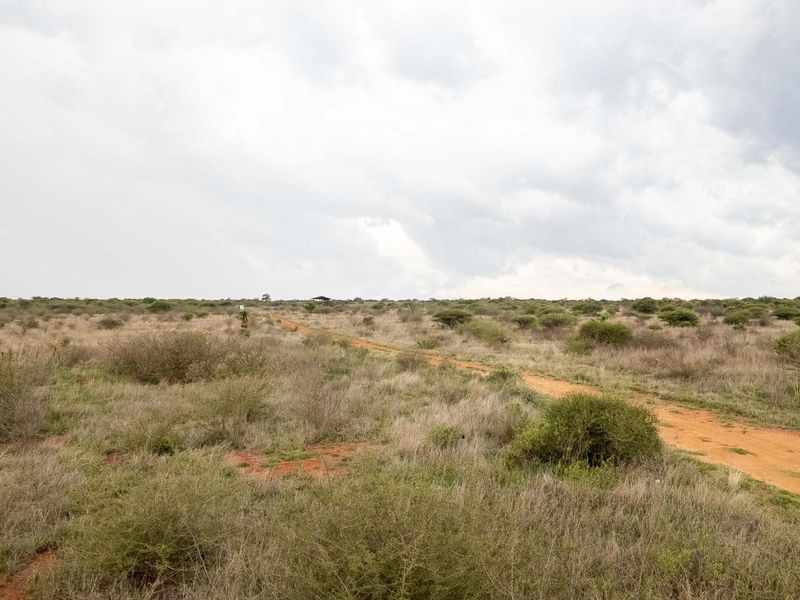 Your Future Farm Begins Here - Photo 10