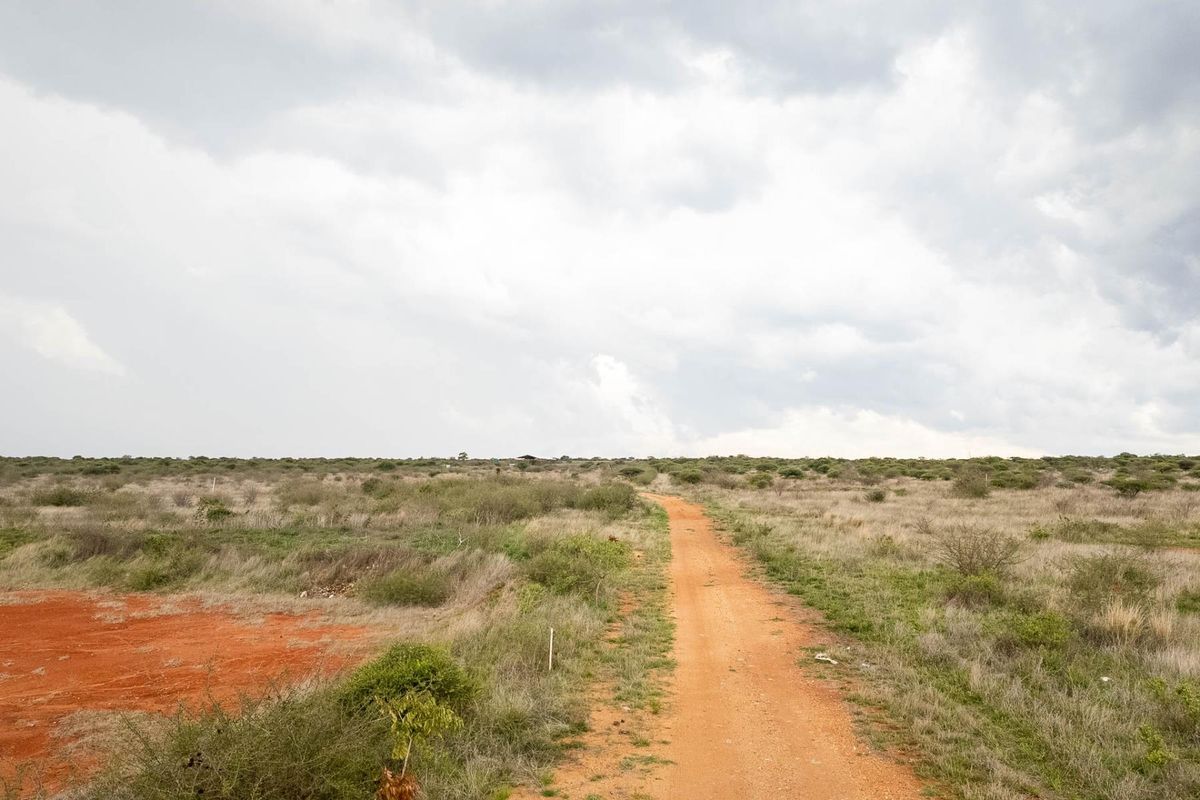 Your Future Farm Begins Here - Photo 5