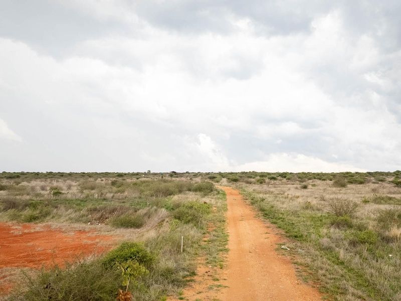 Your Future Farm Begins Here - Photo 5
