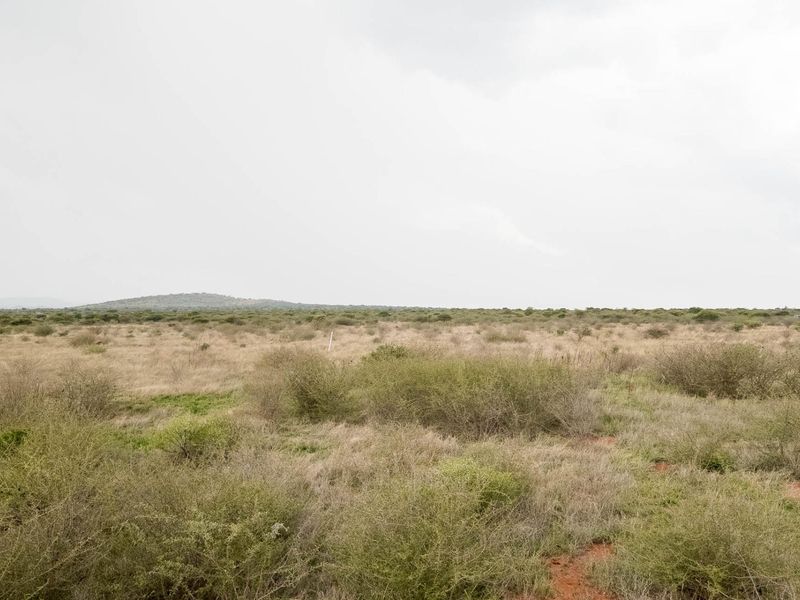 Your Future Farm Begins Here - Photo 9