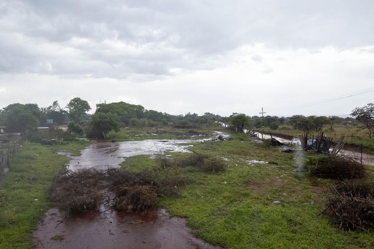 Dual mandate plot next to the R81! - Photo 3